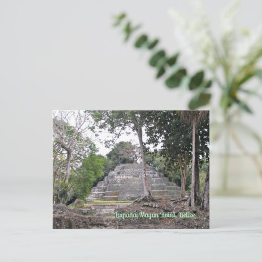 Lamanai Mayan Ruins Belize Postcard Postkarte (Stehend Vorderseite)