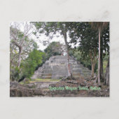 Lamanai Mayan Ruins Belize Postcard Postkarte (Vorderseite)