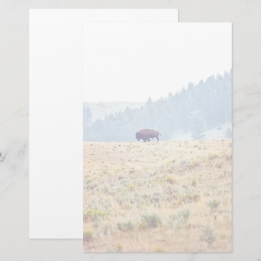 Lamar Briefpapier (Vorne/Hinten)