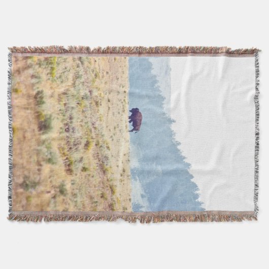 Lamar Decke (Vorderseite)