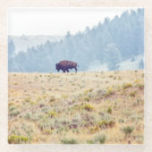 Lamar Glasuntersetzer (Vorderseite)