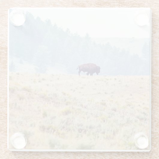 Lamar Glasuntersetzer (Rückseite)