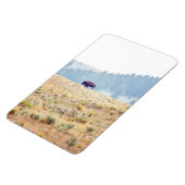 Lamar Magnet (Linke Seite)