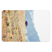 Lamar Magnet (Horizontal)