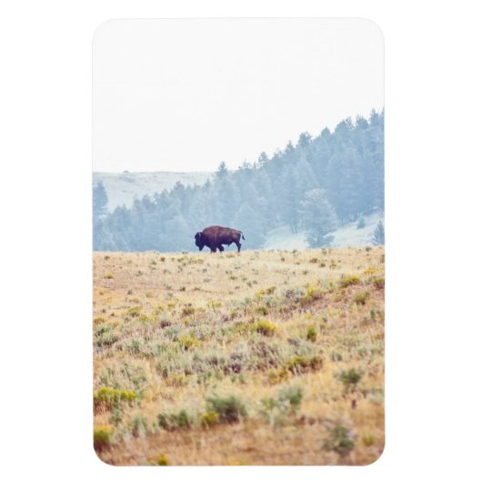 Lamar Magnet (Vertikal)