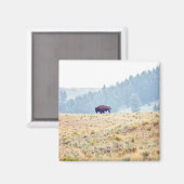 Lamar Magnet (Vorderseite/Rückseite)
