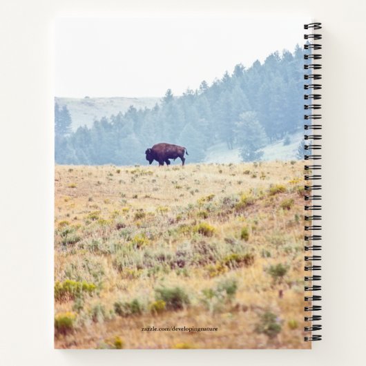 Lamar Notizblock (Rückseite)