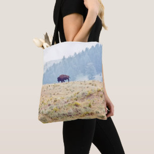 Lamar Tasche