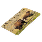 Lamar Valley Bison Yellowstone Nationalpark Magnet (Linke Seite)