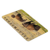 Lamar Valley Bison Yellowstone Nationalpark Magnet (Rechte Seite)