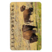 Lamar Valley Bison Yellowstone Nationalpark Magnet (Vertikal)