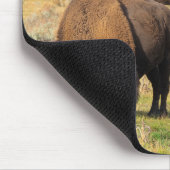 Lamar Valley Bison Yellowstone Nationalpark Mousepad (Ecke)