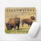 Lamar Valley Bison Yellowstone Nationalpark Mousepad (Mit Mouse)
