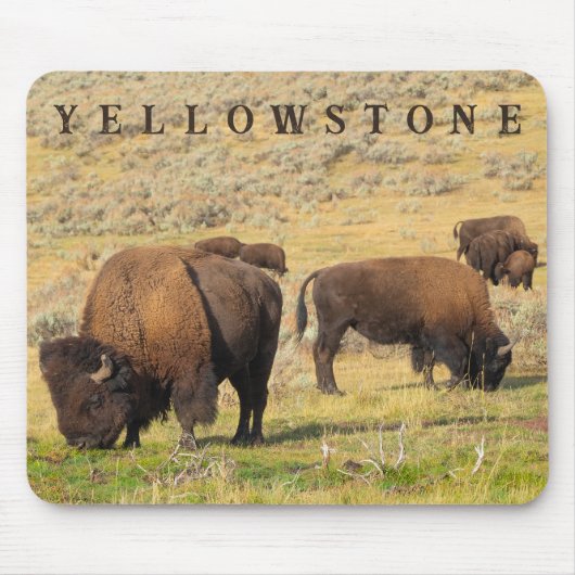Lamar Valley Bison Yellowstone Nationalpark Mousepad (Vorne)