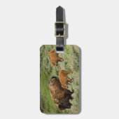 Lamar Valley Mini Stampede Gepäckanhänger (Vorderseite vertikal)