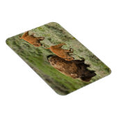 Lamar Valley Mini Stampede Magnet (Rechte Seite)