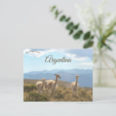 Lamas in Humahuaca Argentinien Postkarte (Stehend Vorderseite)