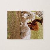Lamas mit Baby Cria Puzzle (Horizontal)