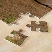 Lamas mit Baby Cria Puzzle (Seite)