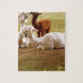 Lamas mit Baby Cria Puzzle (Vertikal)