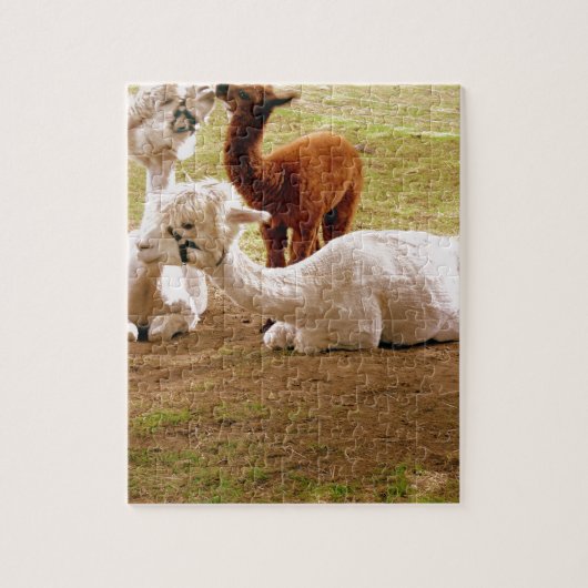 Lamas mit Baby Cria Puzzle (Vertikal)
