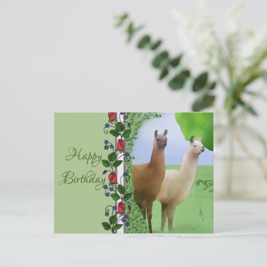 Lamas Postkarte (Stehend Vorderseite)