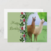Lamas Postkarte (Vorne/Hinten)