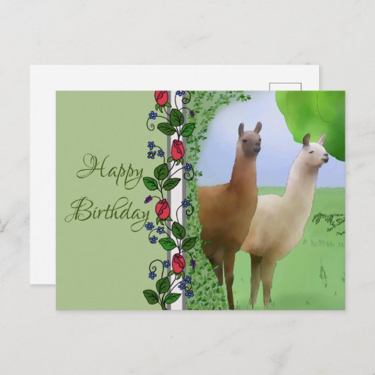 Lamas Postkarte (Vorne/Hinten)