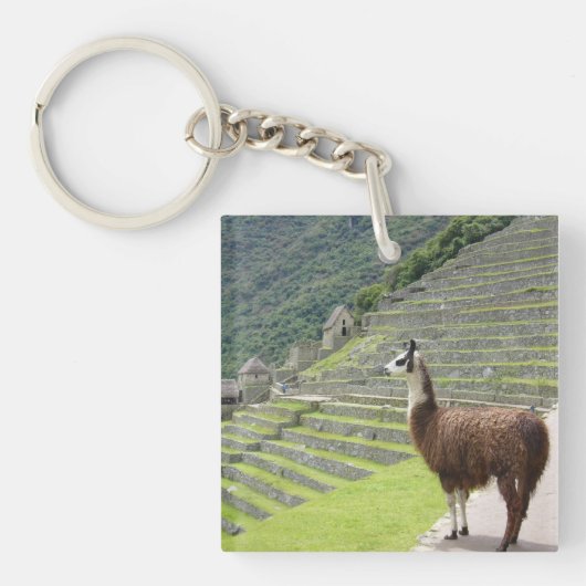 Lamas Schlüsselanhänger (Vorderseite)