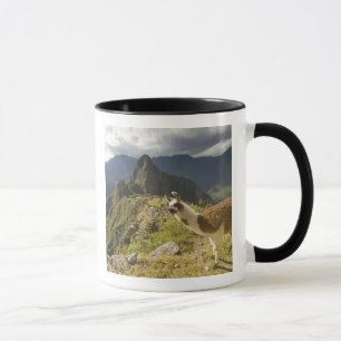 Lamas und ein Ausblick auf Machu Picchu, Tasse