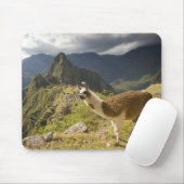 Lamas und ein Blick über Machu Picchu, Mousepad (Mit Mouse)