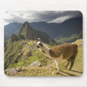 Lamas und ein Blick über Machu Picchu, Mousepad