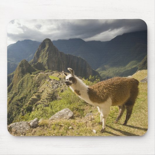 Lamas und ein Blick über Machu Picchu, Mousepad (Vorne)