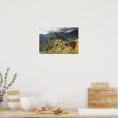 Lamas und ein Blick über Machu Picchu, Poster (Küche)