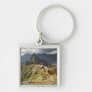 Lamas und ein Blick über Machu Picchu, Schlüsselanhänger