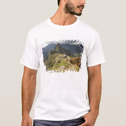 Lamas und ein Blick über Machu Picchu, T-Shirt (Vorderseite)
