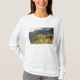 Lamas und ein Blick über Machu Picchu, T-Shirt