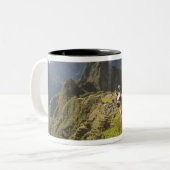 Lamas und ein Blick über Machu Picchu, Zweifarbige Tasse (Vorderseite Links)