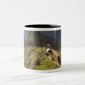 Lamas und ein Blick über Machu Picchu, Zweifarbige Tasse (Mittel)