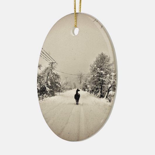 Lamawinter Keramikornament (Links)