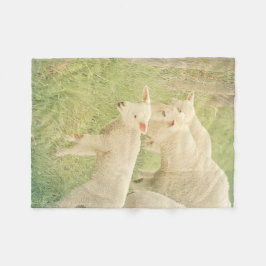 Lamb Baby Animals Sheep Fleecedecke (Vorderseite (Horizontal))