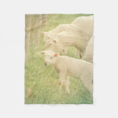 Lamb Baby Animals Sheep Fleecedecke (Vorderseite)