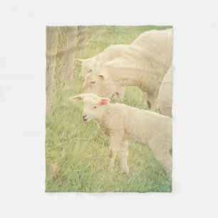 Lamb Baby Animals Sheep Fleecedecke