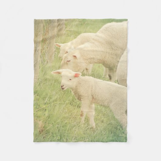 Lamb Baby Animals Sheep Fleecedecke (Vorderseite)