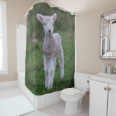 Lamb Baby Sheep Farm Duschvorhang (Beispiel)