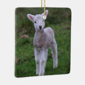 Lamb Baby Sheep Farm Keramikornament (Rechts)
