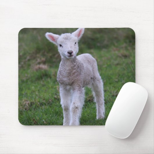 Lamb Baby Sheep Farm Mousepad (Mit Mouse)