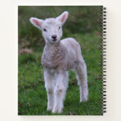 Lamb Baby Sheep Farm Notizblock (Rückseite)