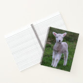 Lamb Baby Sheep Farm Notizblock (Innenseite)