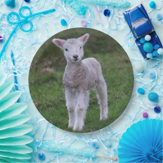 Lamb Baby Sheep Farm Pappteller (Party)